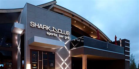 sharks club
